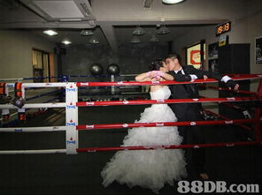 摄影服务全方位指南 从婚纱到家庭，定格每一个珍贵瞬间